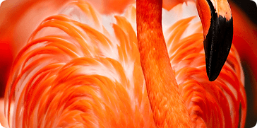 Train at Our London Offices